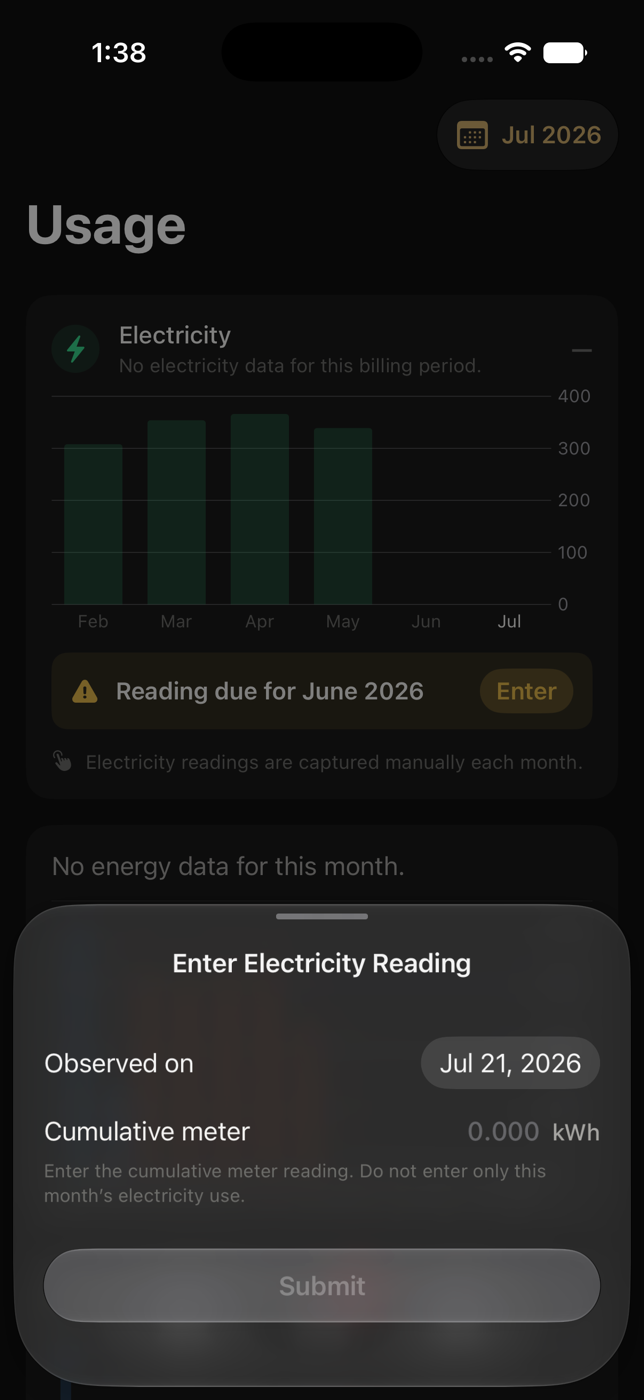 Enter Electricity Reading sheet with cumulative meter field